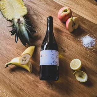 Chardonnay 2020 Víno Zeliska